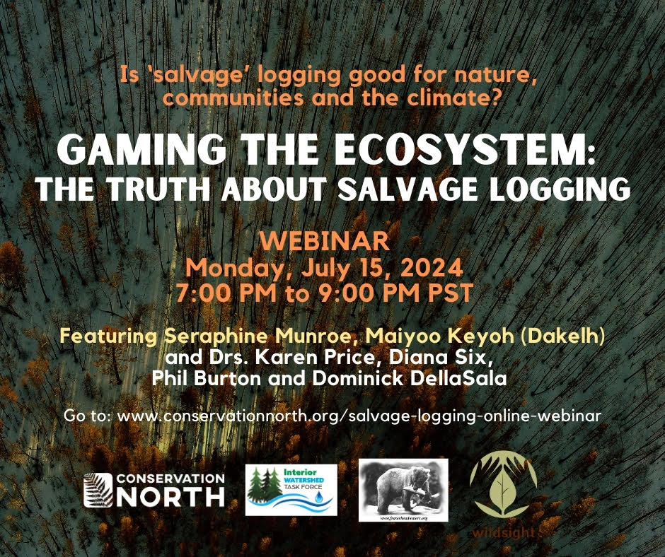 Gaming the Ecosystem: The Truth About Salvage Logging – webinar