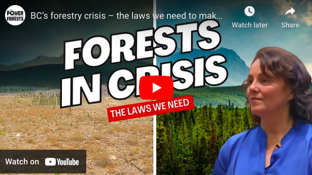 Screenshot of the cover image used by Boundary Forest Watershed Stewardship Society for its YouTube video about BC's forest legislation.