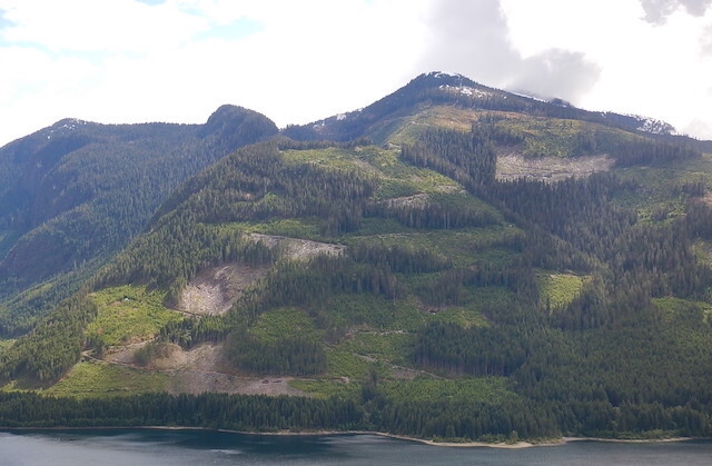 Clear cuts adjacent to Strathcona Park on Vancouver Island.